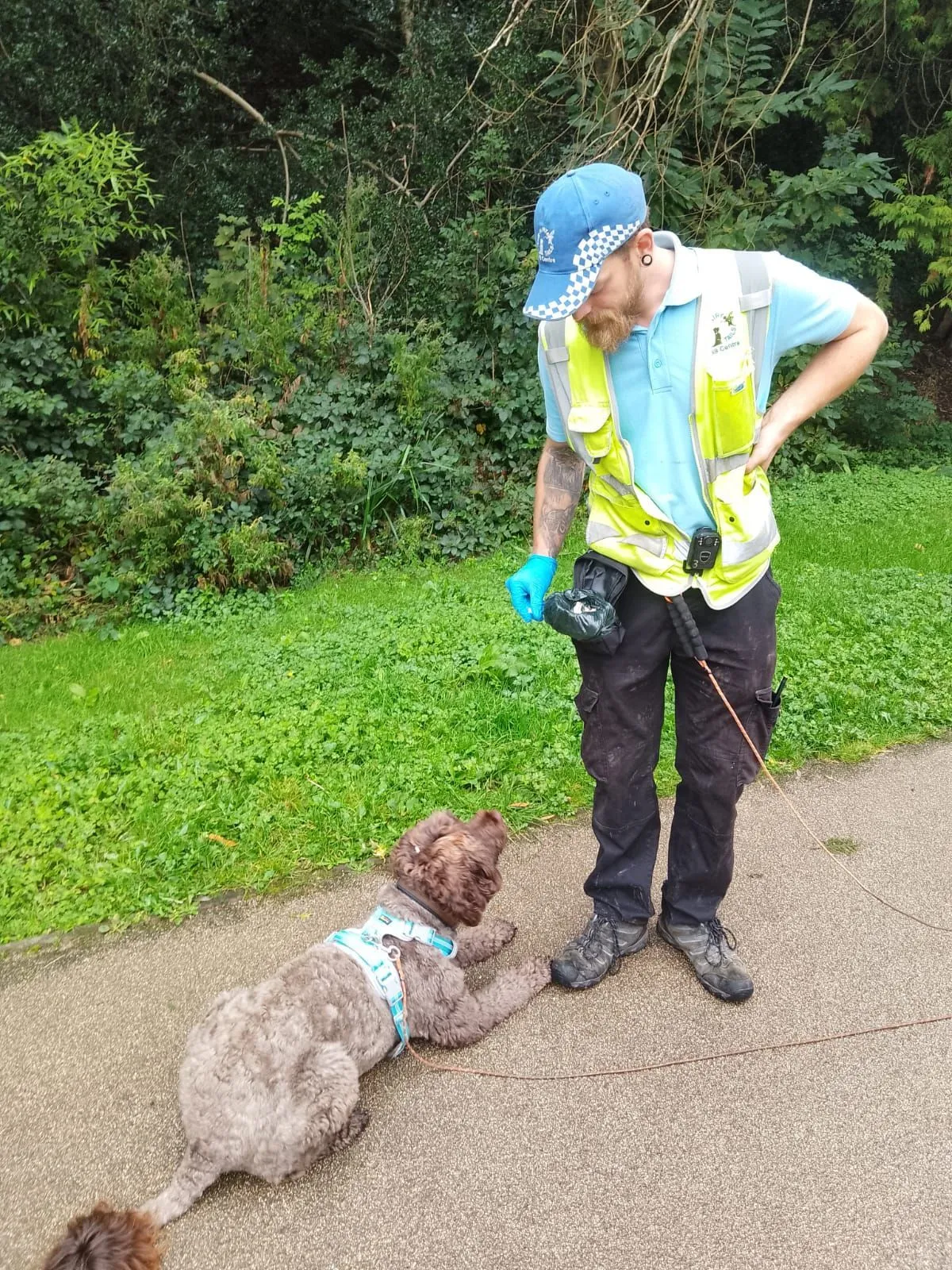 A Fairy Tails trainer working with a dog lying down calmly on a long line